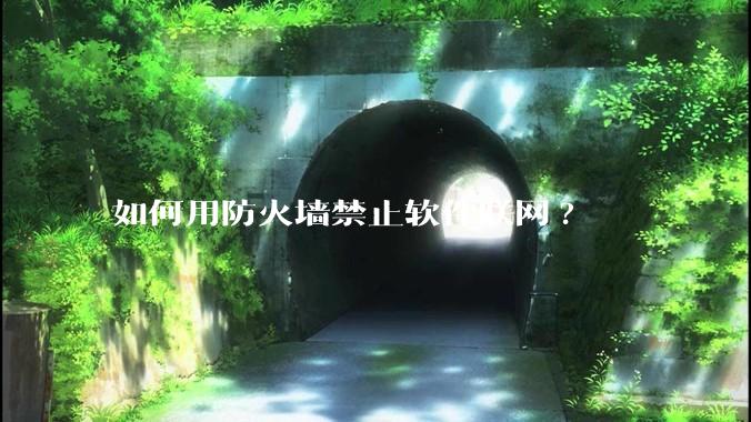 如何用防火墙禁止软件联网?