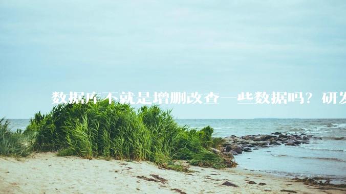 数据库不就是增删改查一些数据吗？研发一个数据库到底难在哪了？