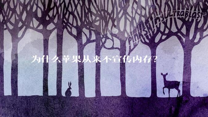 为什么苹果从来不宣传内存？
