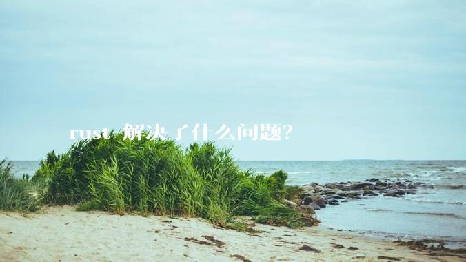 rust 解决了什么问题？