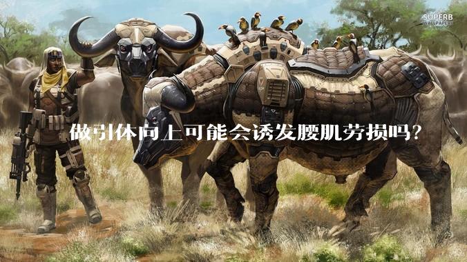做引体向上可能会诱发腰肌劳损吗？