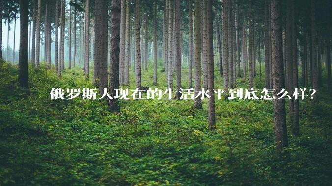 俄罗斯人现在的生活水平到底怎么样？