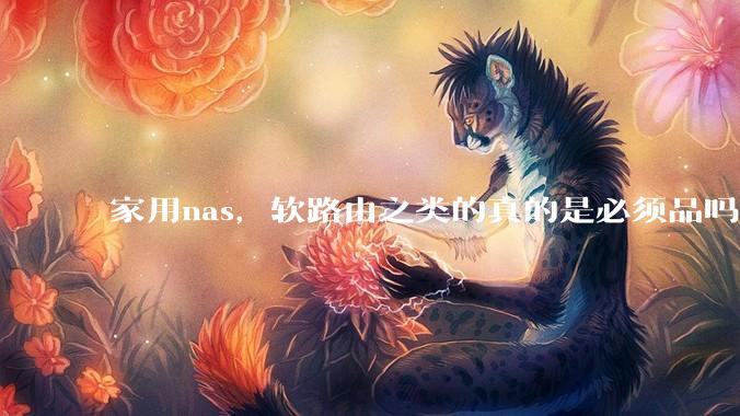 家用nas，软路由之类的真的是必须品吗？